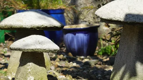 Stone Gardens